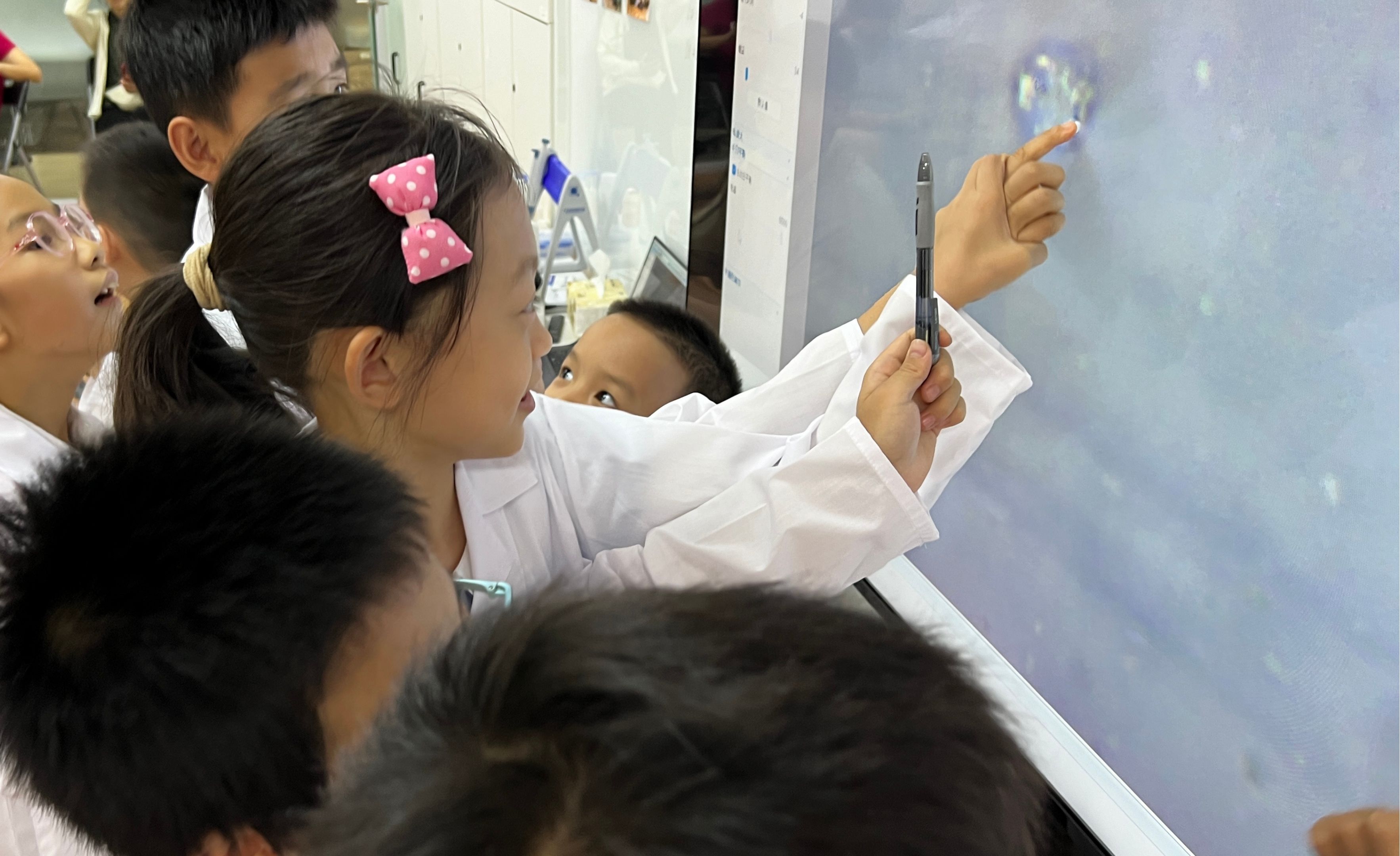 微生物课题实验案例