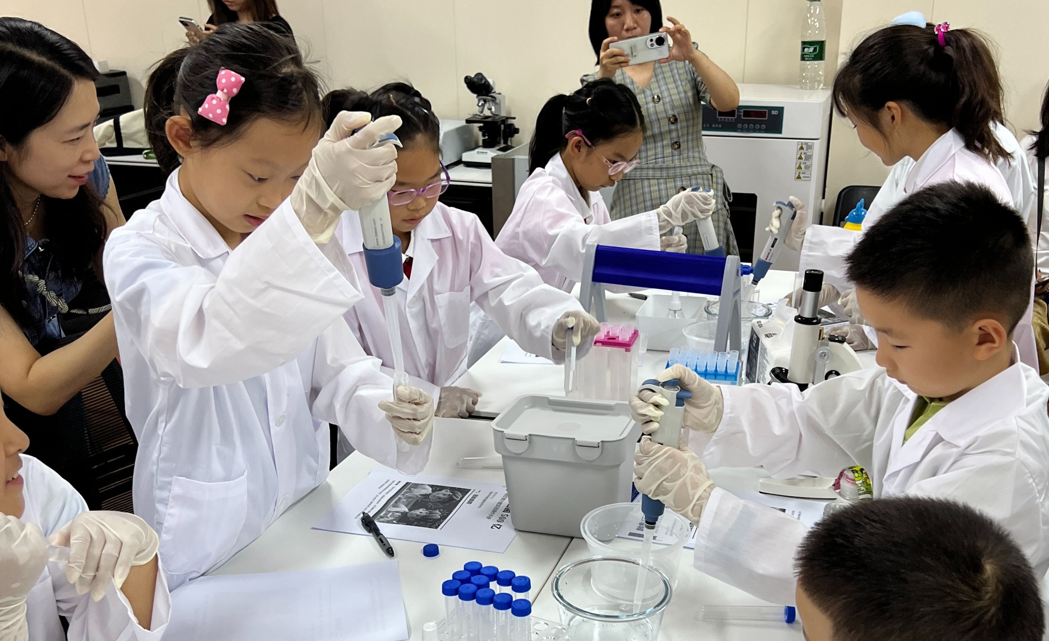 微生物培养课题实验